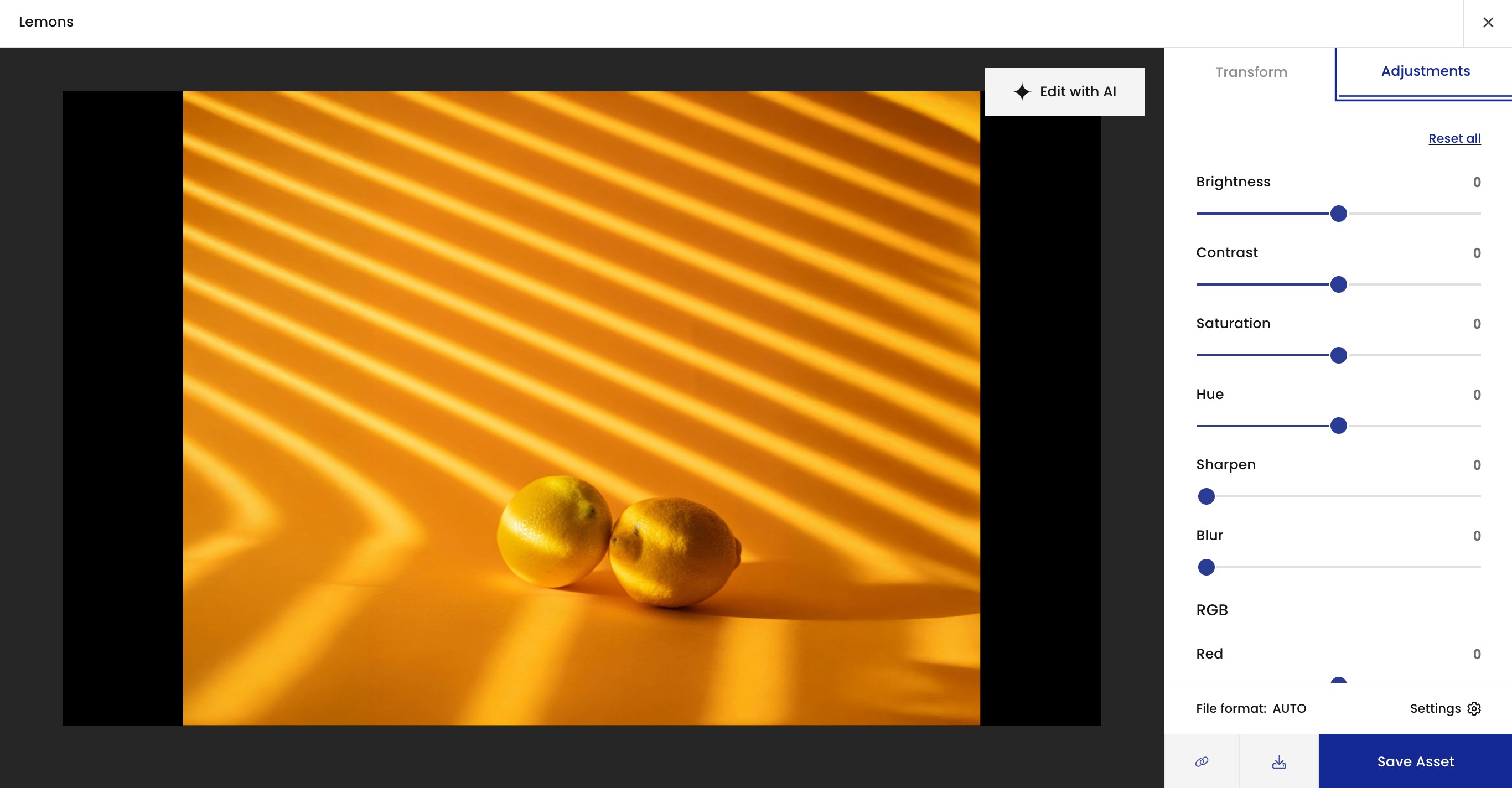 The expanded image in the preview panel